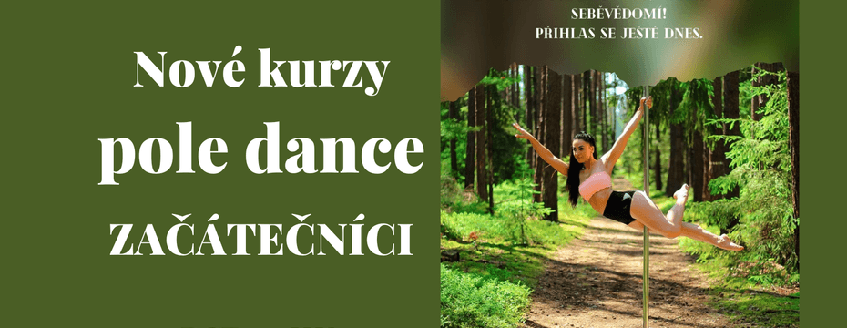 Nové kurzy pole dance pro začátečníky v Hradci Králové a Pardubicích