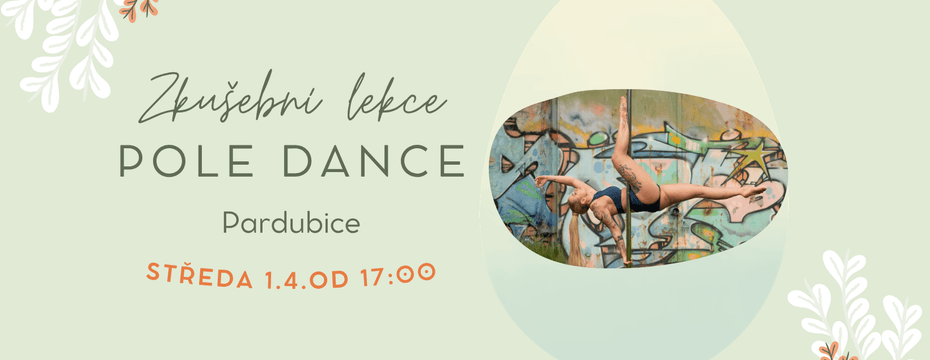 Zkušební lekce pole dance pro začátečníky