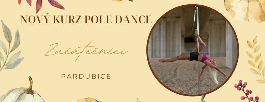 Nový kurz Pole dance v Pardubicích