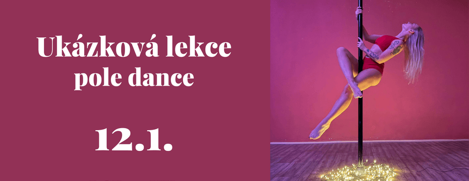 Ukázkové lekce pole dance pro začátečníky