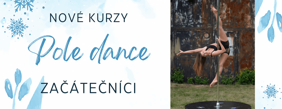 Nové kurzy pole dance pro začátečníky v Hradci Králové a Pardubicích
